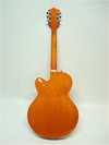 Prazrachinii pick guard 3.jpg